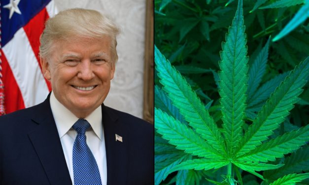 Republican Lawmakers And Celebrities Push Trump To Free Marijuana Prisoners Before Leaving Office – Marijuana Moment
